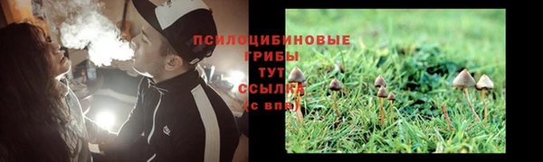мескалин Заводоуковск