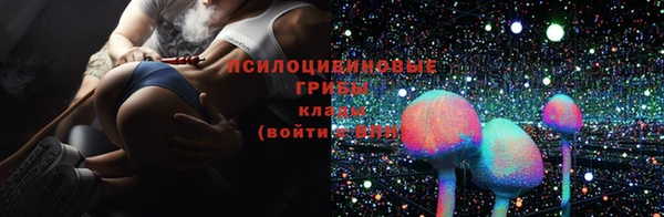 спиды Заволжск