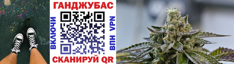 купить наркоту  Зуевка  МАРИХУАНА White Widow 